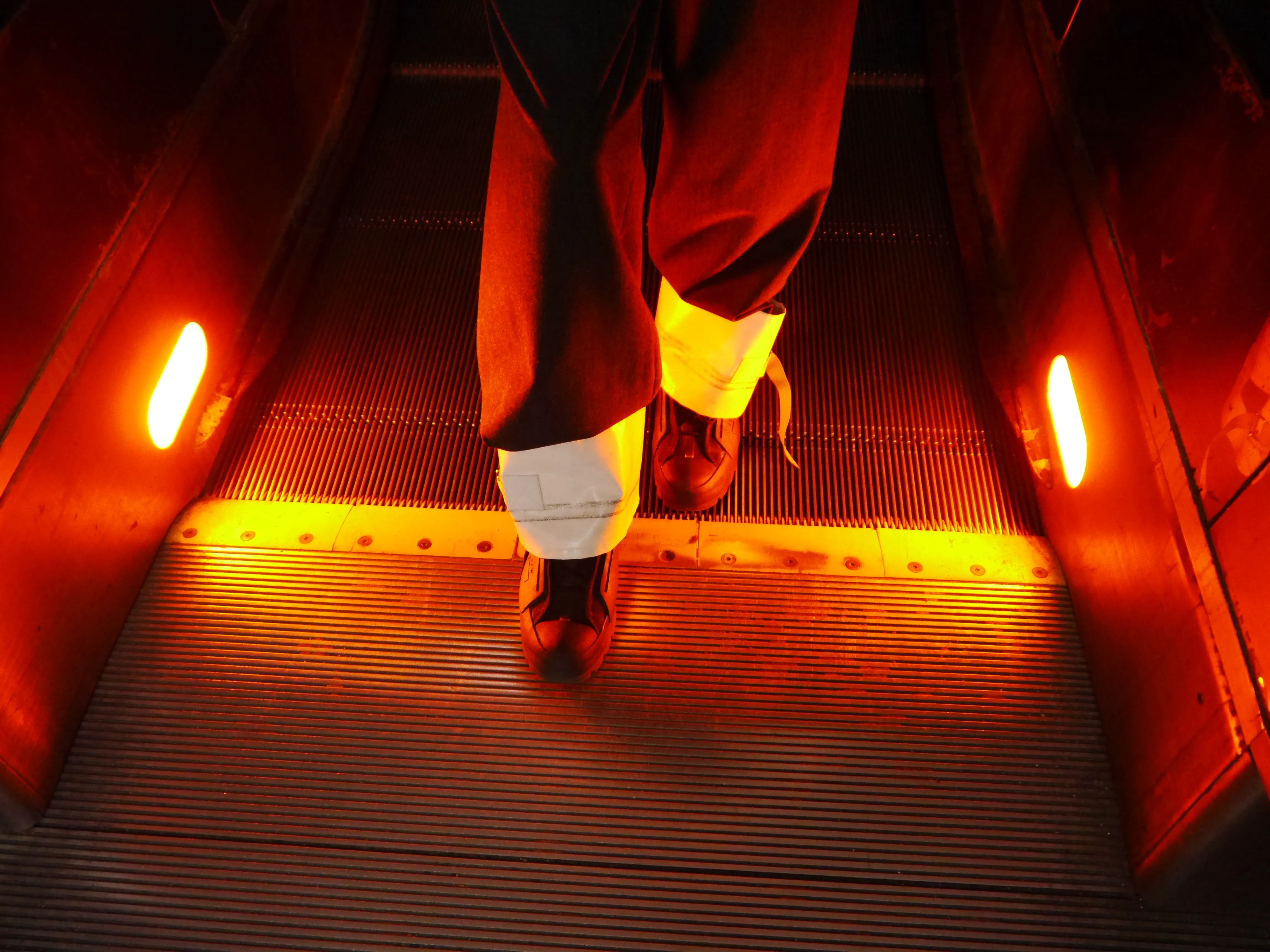 dopecollarifidosaysomyself 4